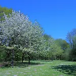 Panoramic App A06-5